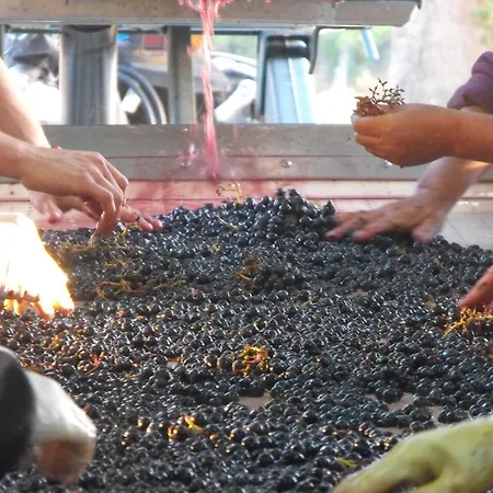 Rollan De By 3* Bégadan