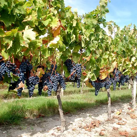 Hotel Rollan De By Bégadan