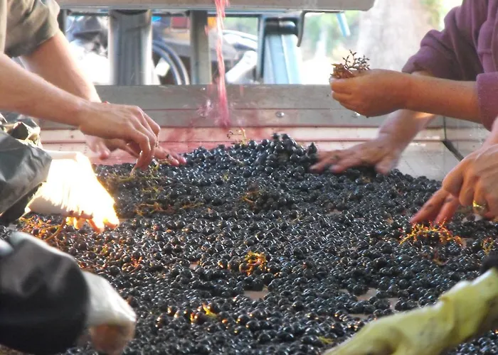 Rollan De By 3* Begadan